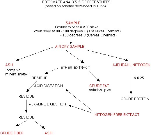 Protein analysis. (A) Typical flowchart for protein analysis after