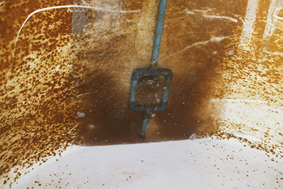 Detail of falling at the end of the larviculture period