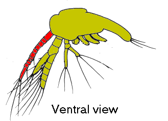 {short description of image}