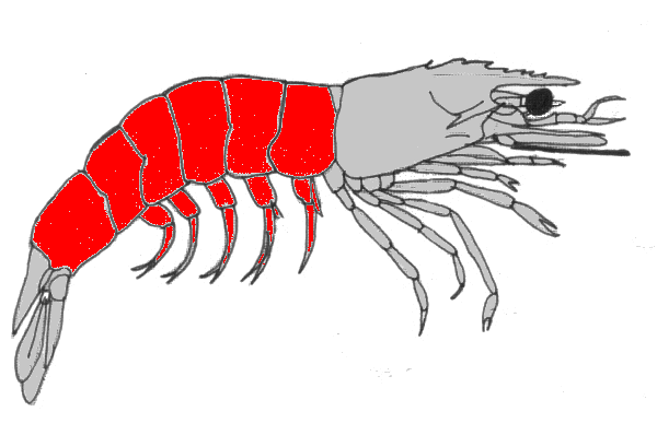 {short description of image}